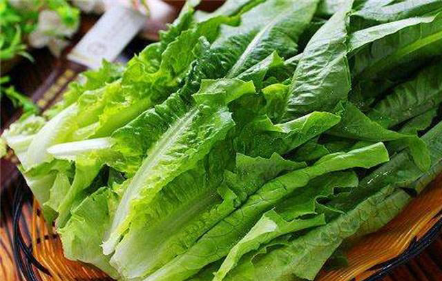 油麦菜 Lettuce