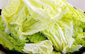白菜 cabbage